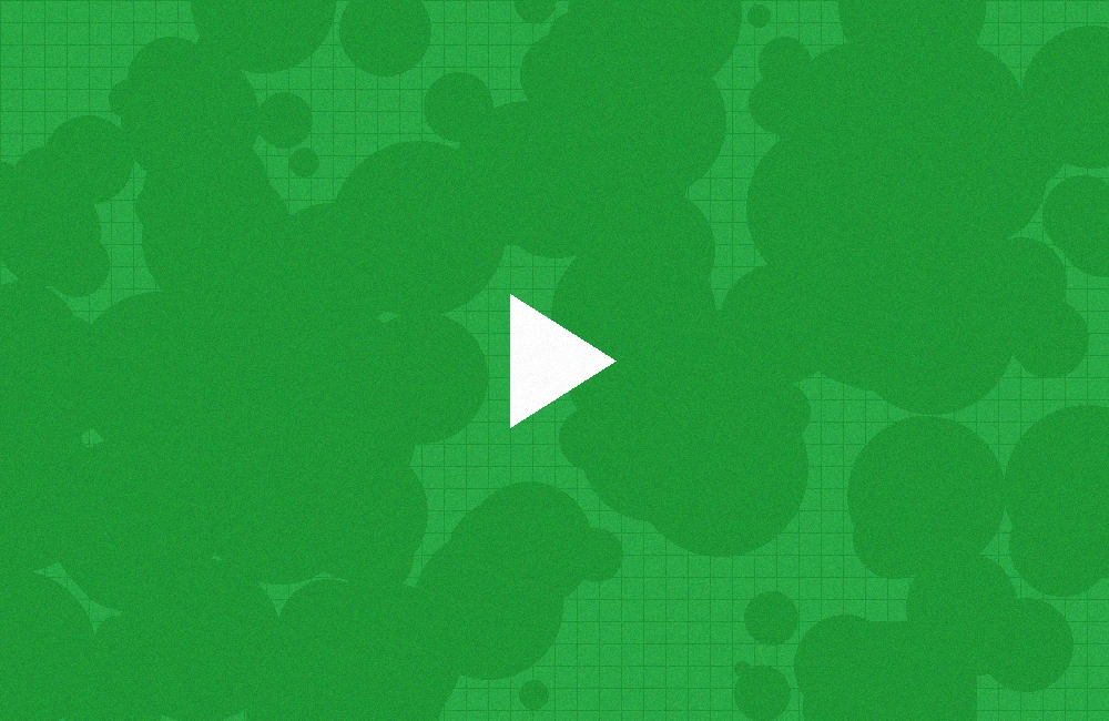 视频平台更新资讯